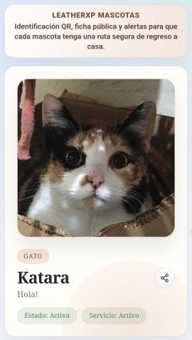 Ejemplo de ficha pública de mascota con QR